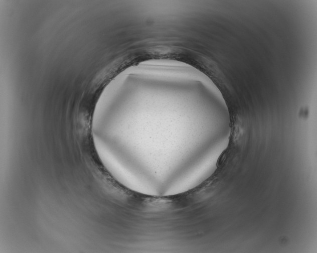 X0000111040476200907091614