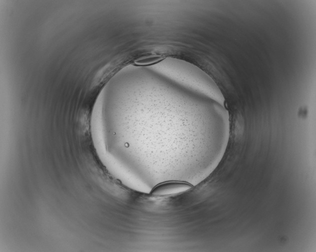 X0000111040478200907091614