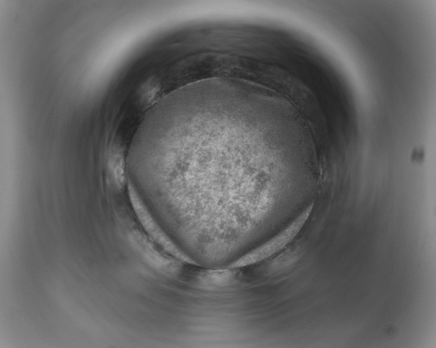 X0000111040479200907091614