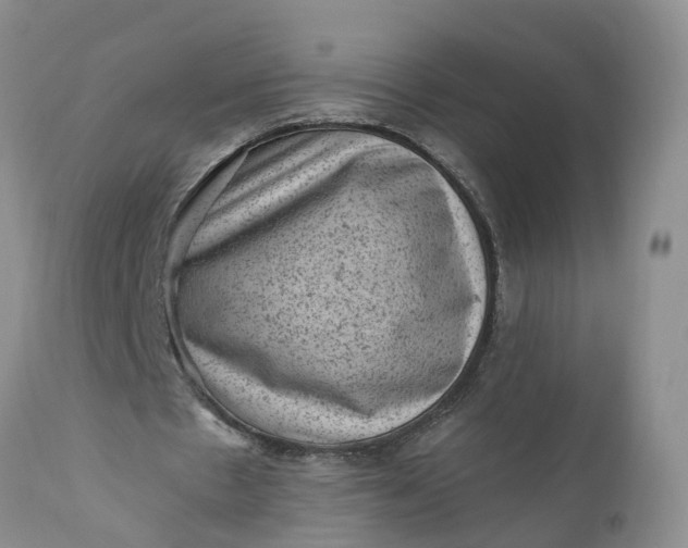 X0000111040481200907091613