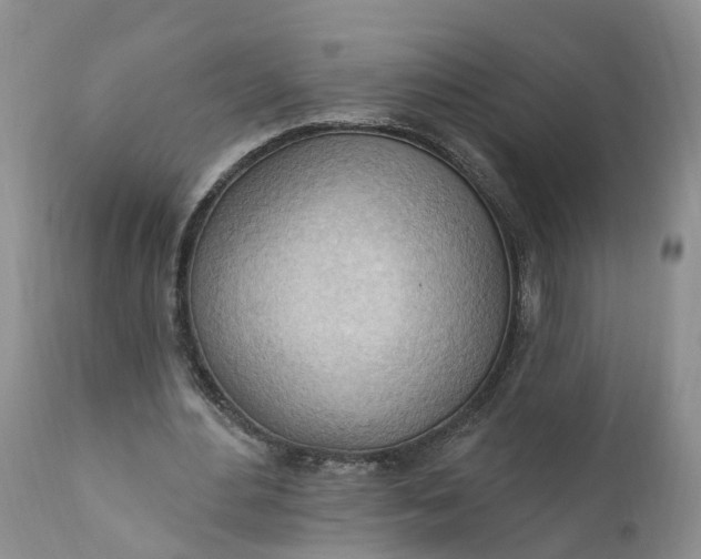 X0000111040484200907091613