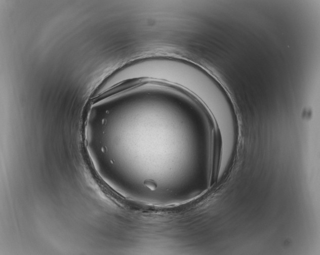 X0000111040485200907091613