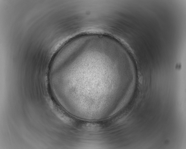 X0000111040487200907091613