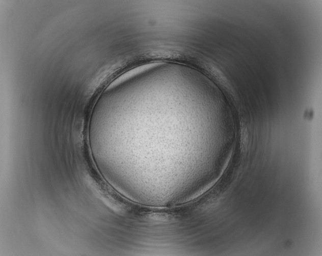 X0000111040490200907091613