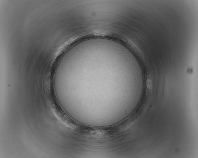 X0000111040492200907091613