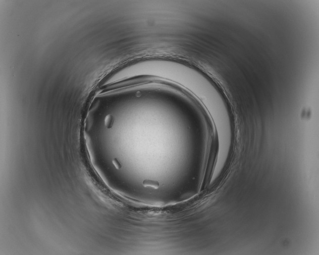 X0000111040493200907091613