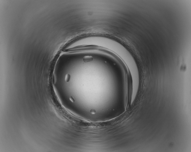 X0000111040496200907091613