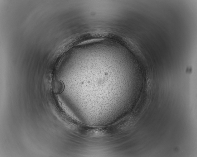 X0000111040498200907091613