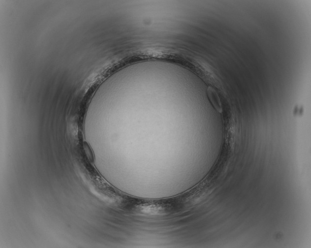 X0000111040500200907091613