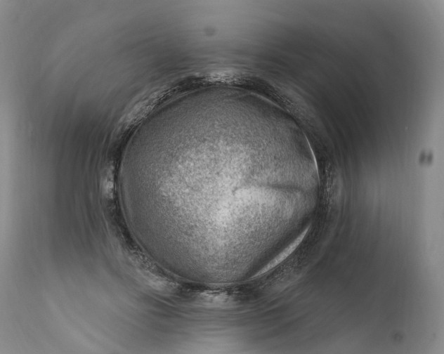 X0000111040502200907091613