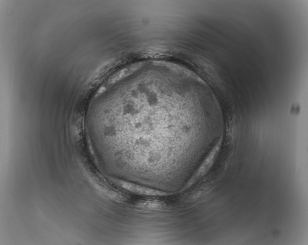 X0000111040503200907091613