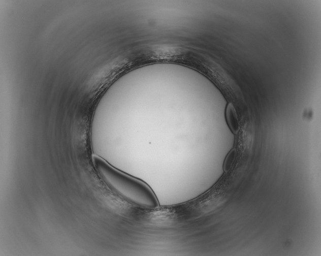 X0000111040505200907091613