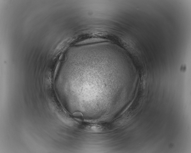 X0000111040506200907091613