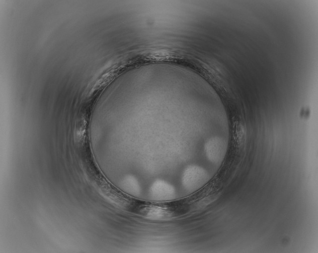 X0000111040507200907091613