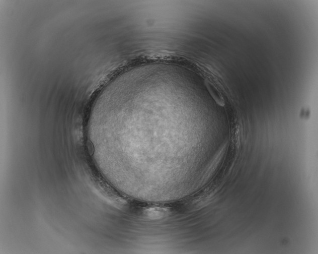 X0000111040508200907091613