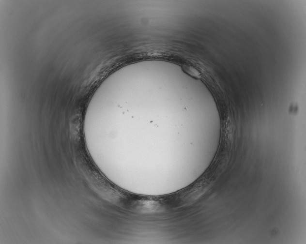 X0000111040509200907091613