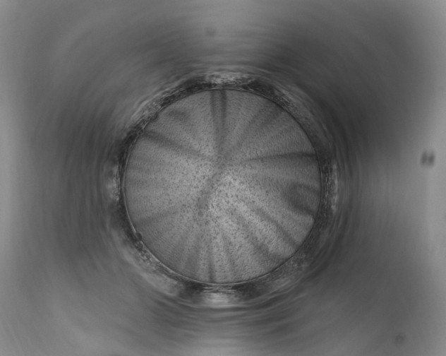 X0000111040510200907091613