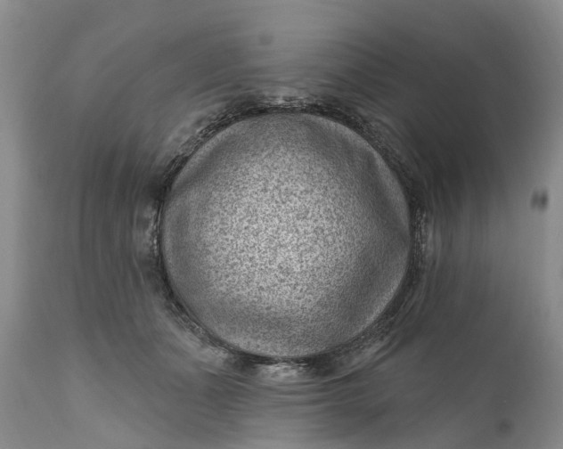 X0000111040511200907091613