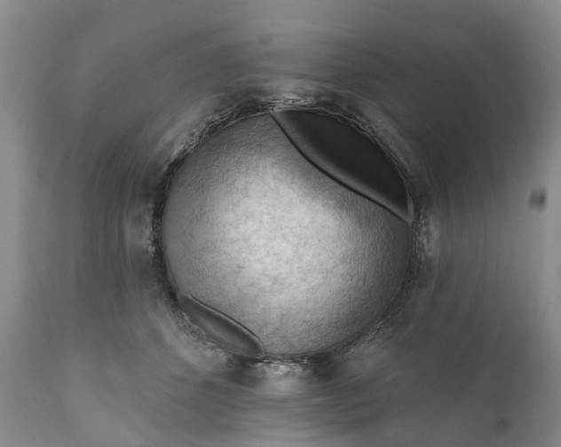 X0000111040512200907091613