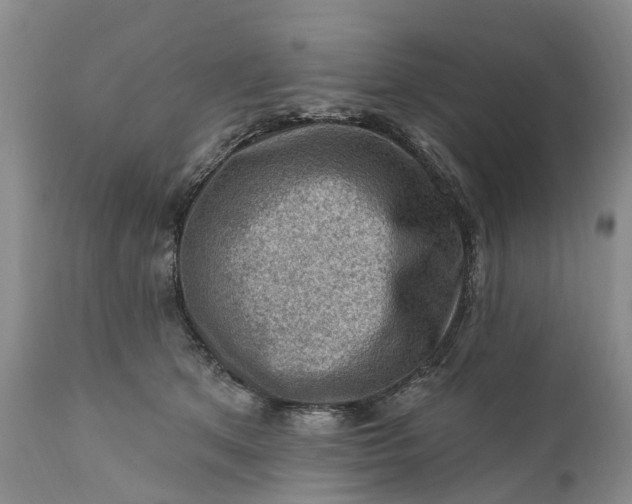 X0000111040513200907091613