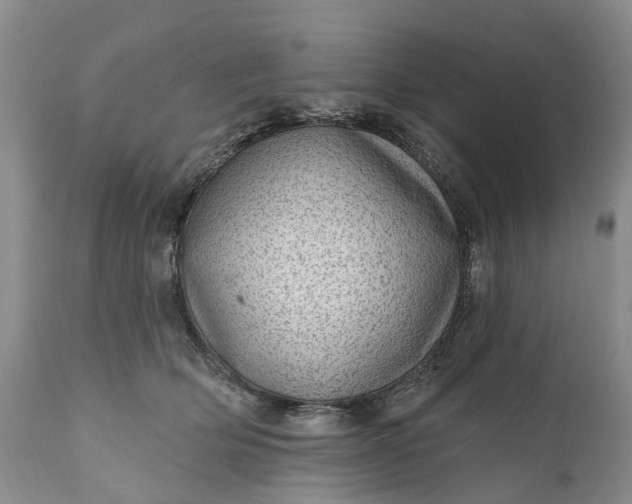 X0000111040514200907091613