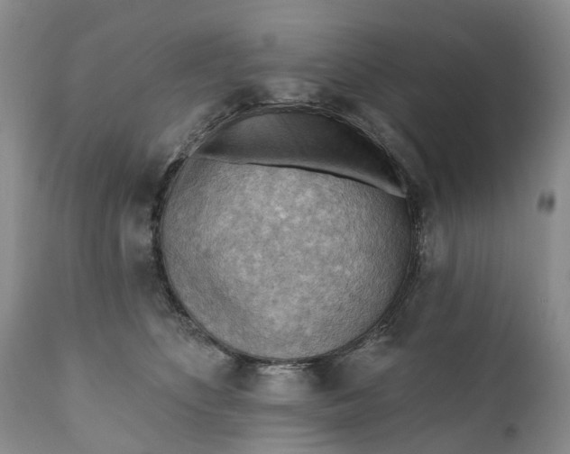 X0000111040516200907091613