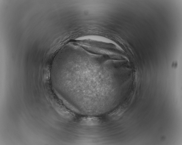 X0000111040517200907091612