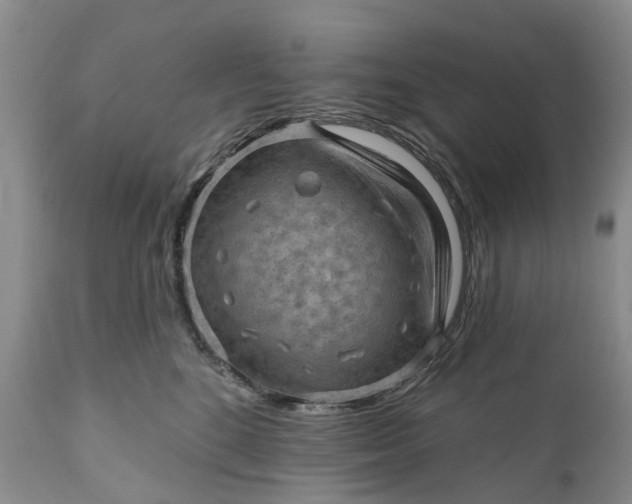 X0000111040520200907091612