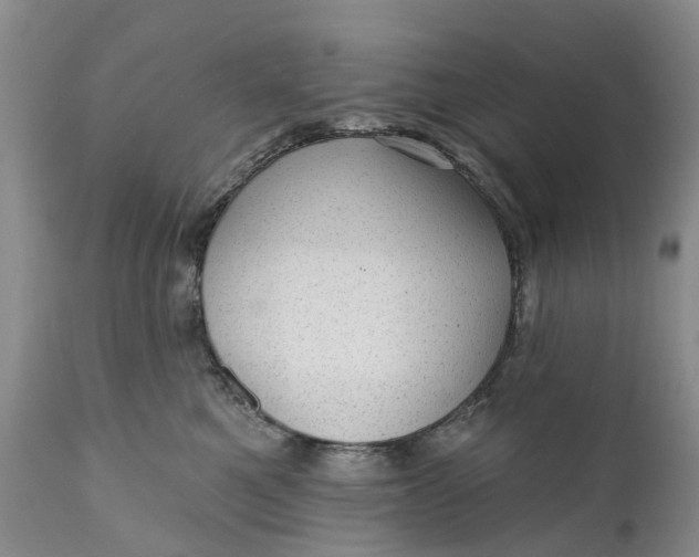 X0000111040521200907091612