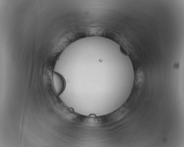 X0000111040522200907091612