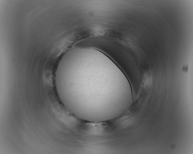 X0000111040524200907091612