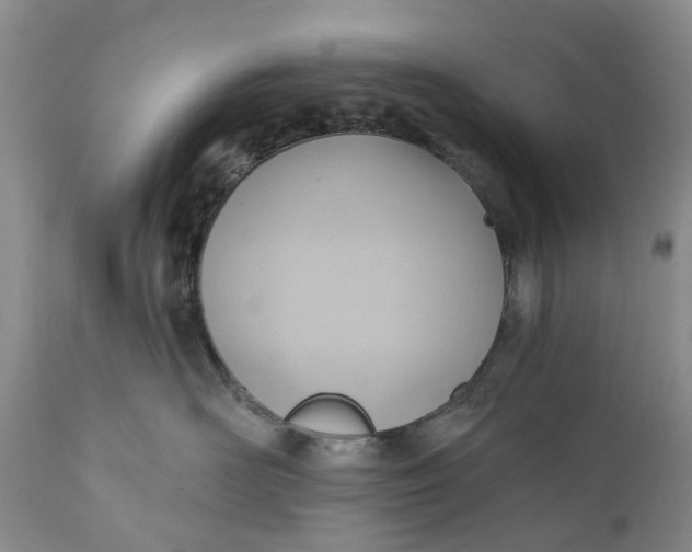 X0000111040526200907091612