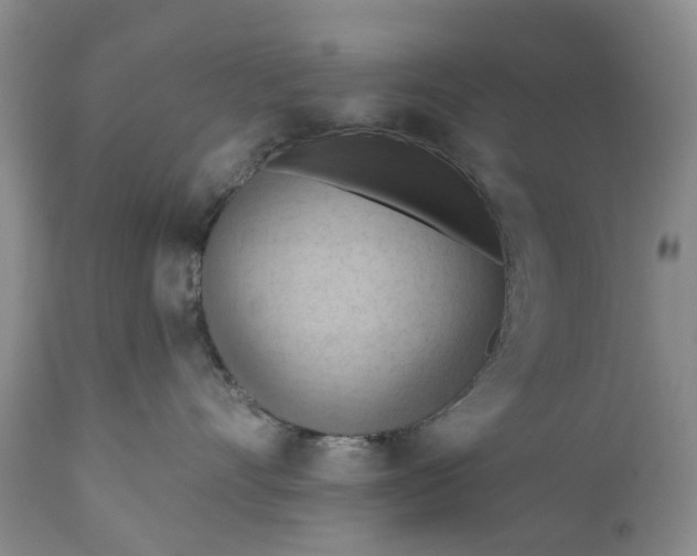 X0000111040528200907091612