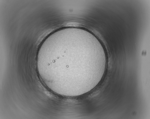 X0000111040529200907091612