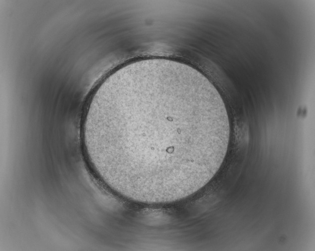 X0000111040534200907091612