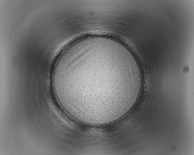 X0000111040535200907091612