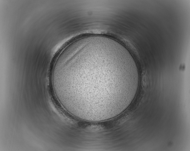 X0000111040536200907091612