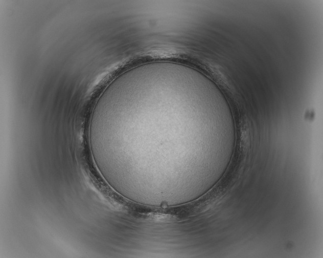 X0000111040539200907091612