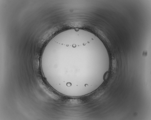 X0000111040541200907091612