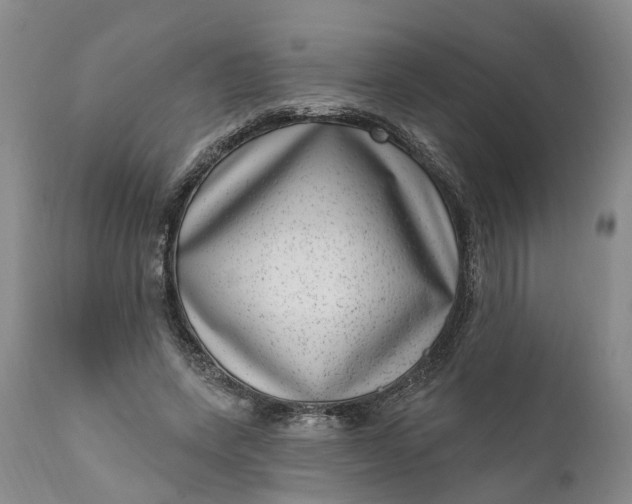 X0000111040543200907091612