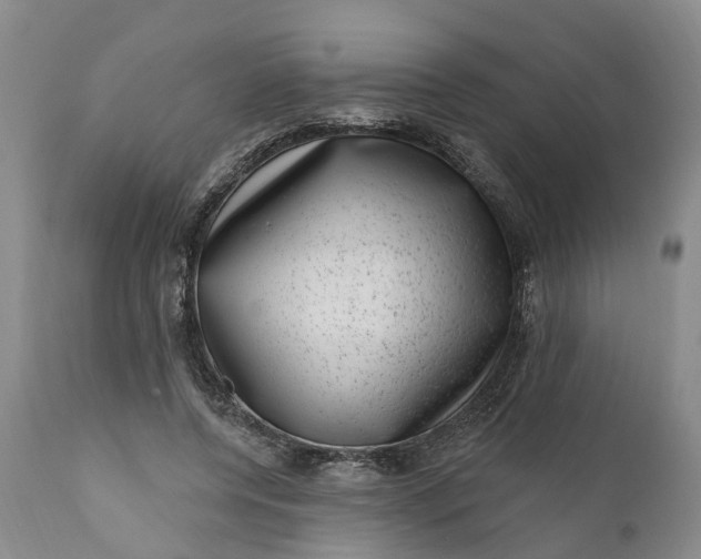 X0000111040544200907091612