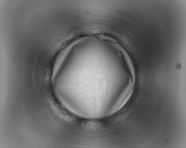 X0000111040546200907091612