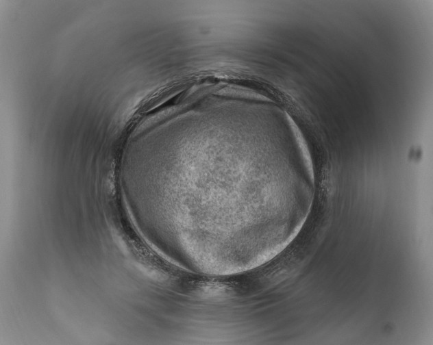 X0000111040547200907091612