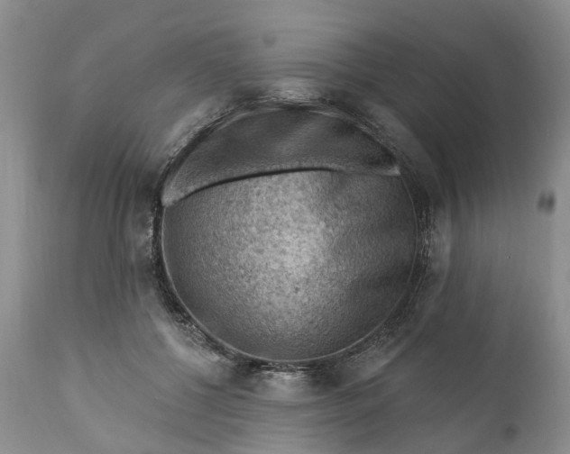 X0000111040552200907091612