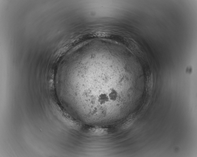 X0000111040553200907091612