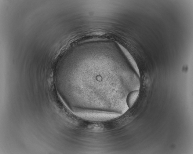 X0000111040559200907091612