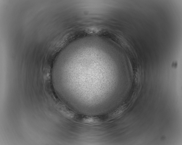 X0000111040561200907091612