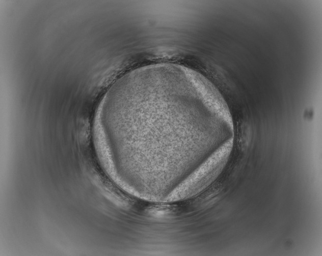 X0000111040563200907091612