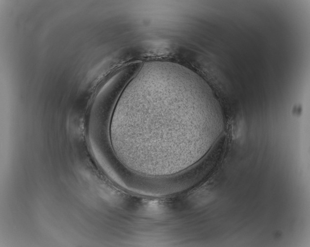 X0000111040564200907091612