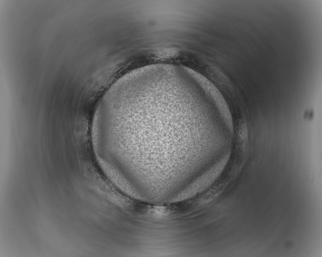 X0000111040565200907091612